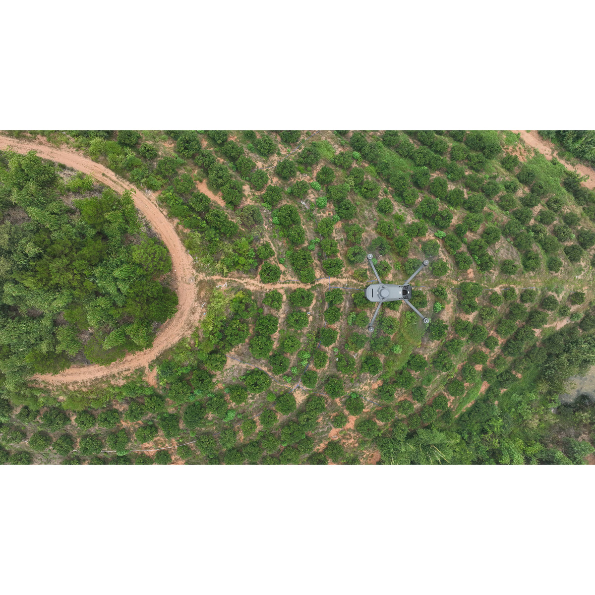 Dron DJI Mavic 3M Multiespectral para Agricultura