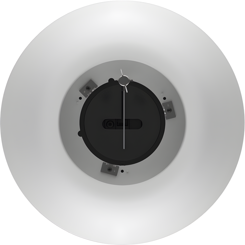 Altavoz Colgante Analógico Hikvision DS-QAZ0530G1 30 W