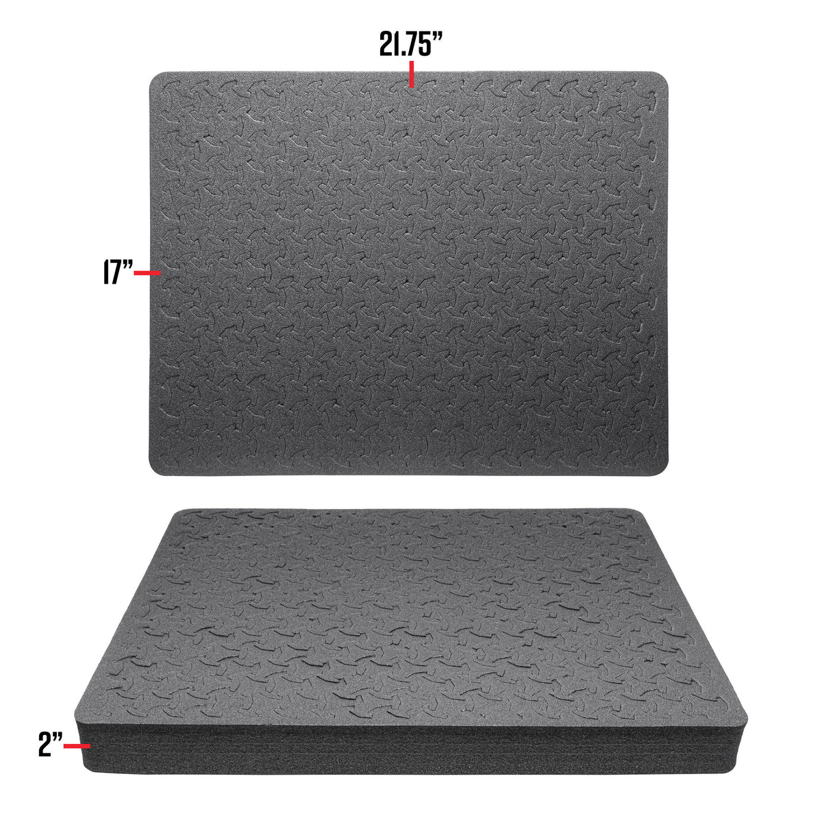 Estuche Rígido RAGAR Eylar con inserto de espuma (Negro, 24") - detalle