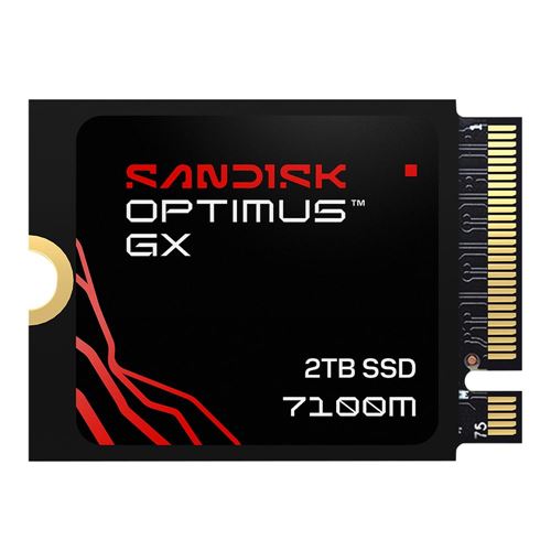 Sandisk Optimus GX 7100M 2TB BiCS TLC 3D CBA NAND PCIe Gen 4 x4 NVMe M.2 2230 Internal SSD — vista 1