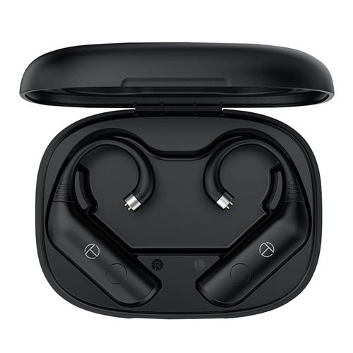 Linsoul Audio TRN BT20 Pro True Wireless Bluetooth Earbuds - Black — vista 1