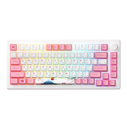 Akko MOD007B PC Tokyo Wireless Keyboard
 Kailh Sakura Pink Magnetic Switch — vista 1