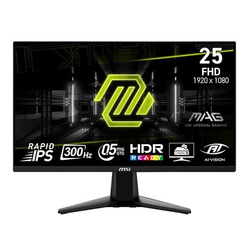 MSI MAG 255XF 24.5" Full HD (1920 x 1080) 300Hz Gaming Monitor
 AMD FreeSync Premium Compa — vista 1