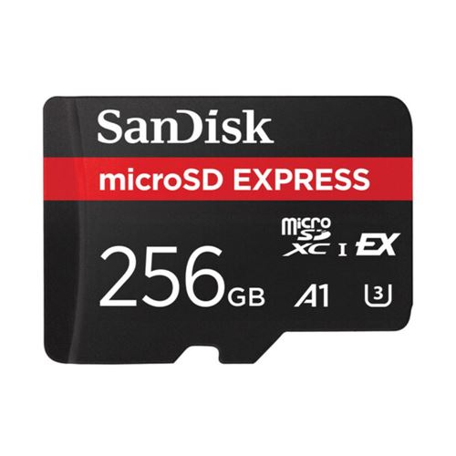 Sandisk 256GB microSD Express Card Class 10 Flash Memory Card — vista 1
