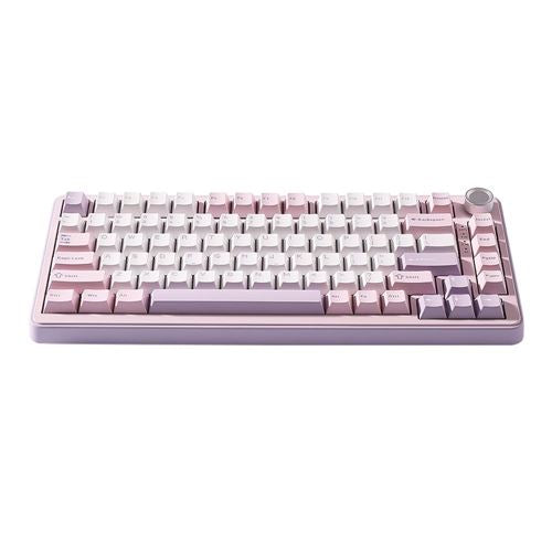 Yunzii B75 Pro Mechanical Keyboard - Purple
 Milk Switches — vista 1
