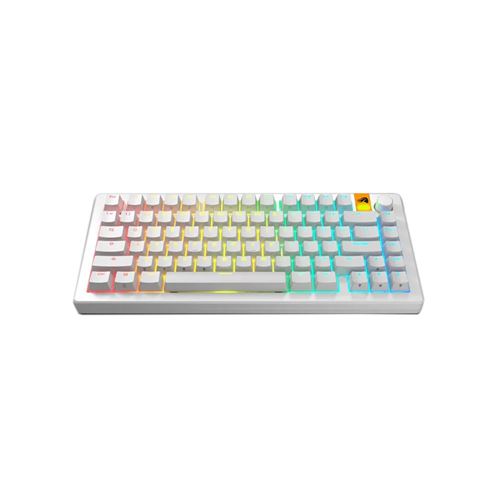 Glorious GPBT Backlit Keycaps - White (131 Pack) — vista 2