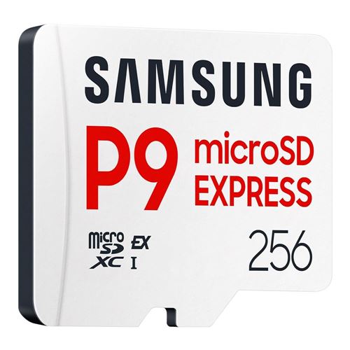 Samsung P9 256GB microSD Express Class 10 Flash Memory Card — vista 2
