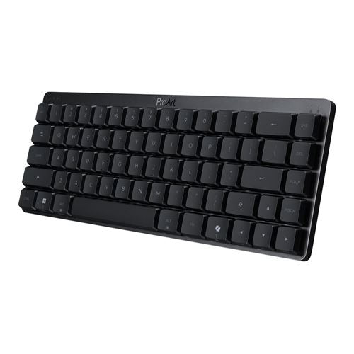 ASUS PRO ART WRLS 65 KB — vista 3