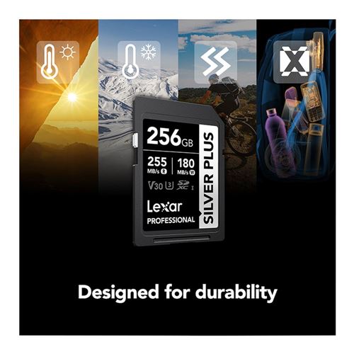 Lexar 256GB Professional SILVER PLUS UHS-I SDXC Class 10 U3 V30 Flash Memory Card — vista 3