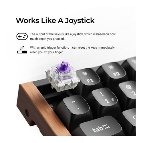 Keychron K4 HE Keyboard Swappable RGB Backlight Aluminum Nebula Switch - Black (Special Ed — vista 4