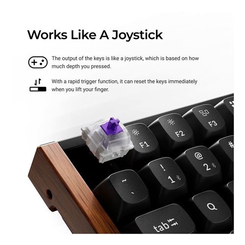 Keychron K2 HE Swappable RGB Magnetic Keyboard - Black (Special Edition) — vista 5