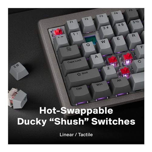 Ducky Cushion 98 Wireless Gaming Keyboard - Nickel — vista 7
