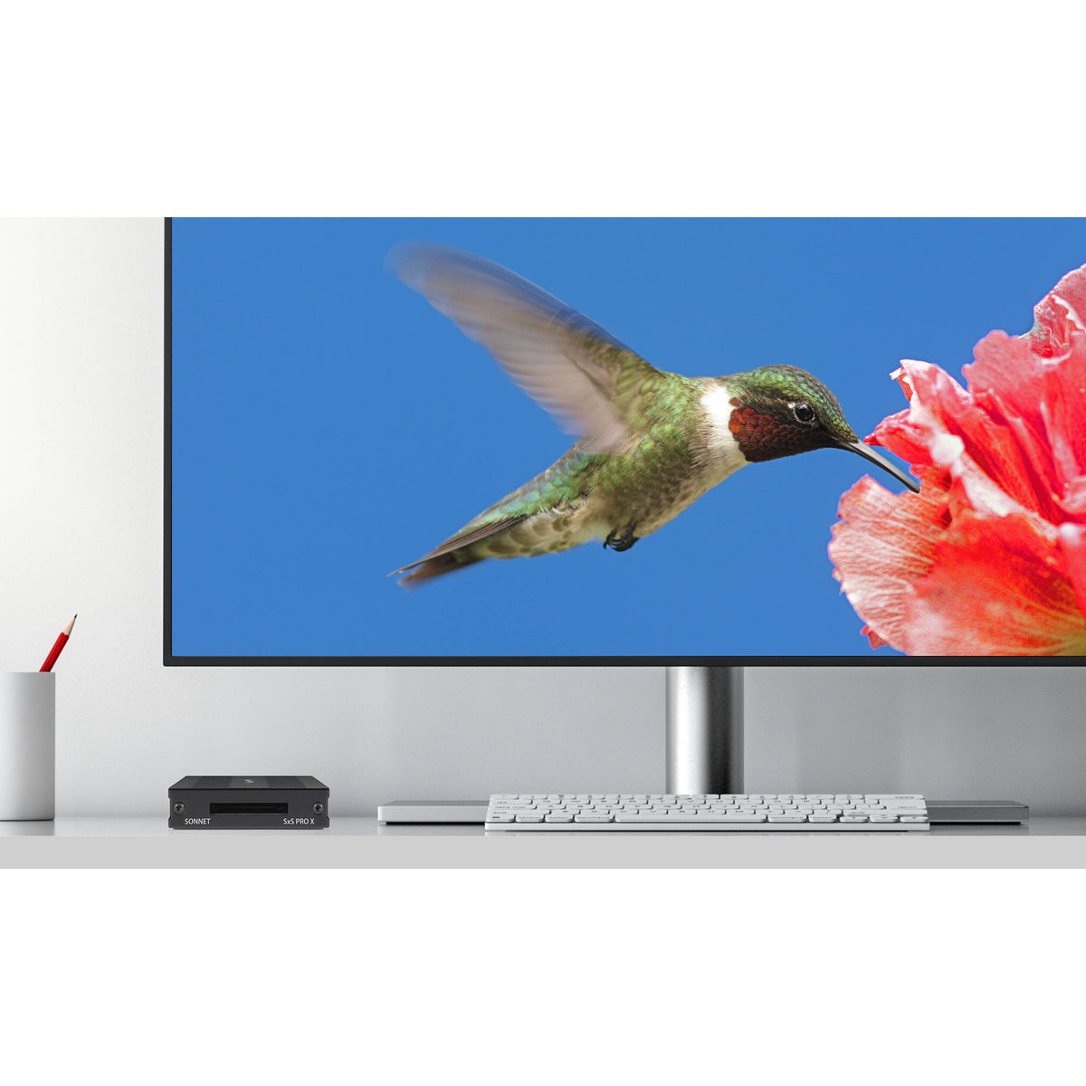 Lector de Tarjetas Sonnet SxS PRO X Thunderbolt 3 Single-ranuras - contenido de la caja