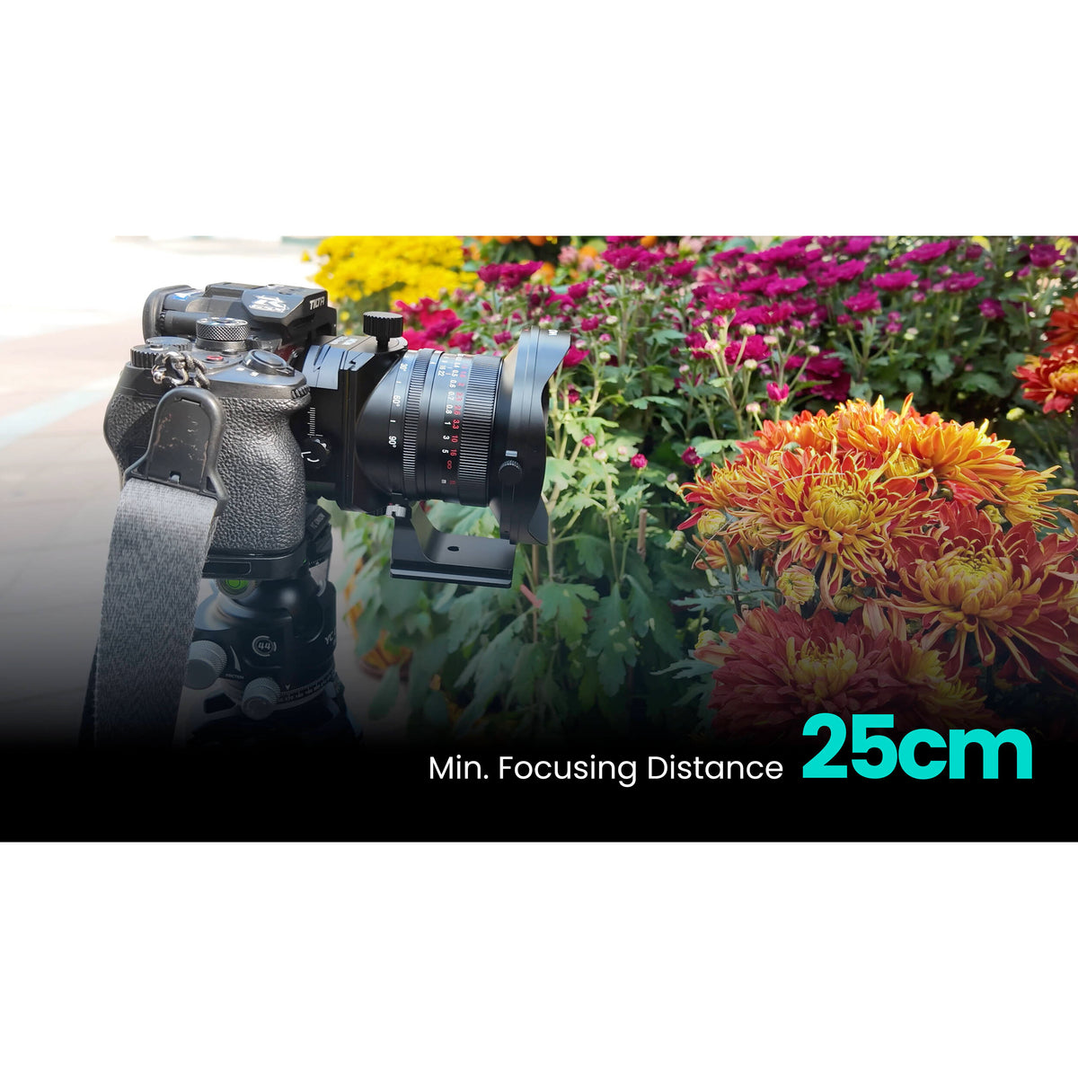 Lente Laowa 17mm f/4 Zero-D Shift (Montura Sony E)