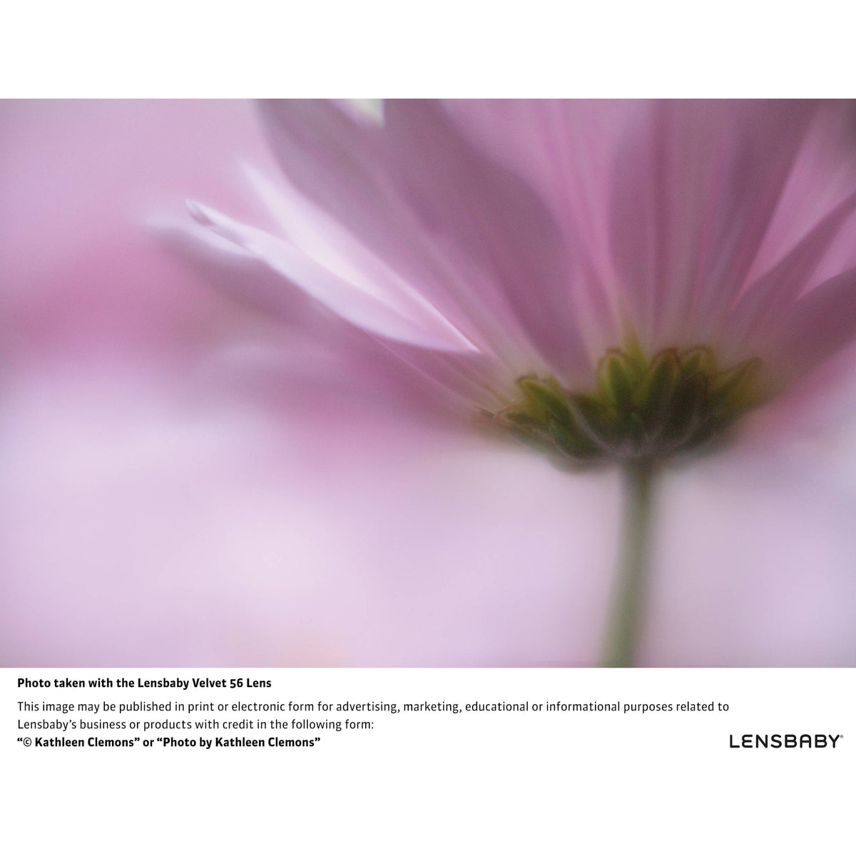 Lente Lensbaby Velvet 56mm f/1.6 (Plateado) - detalle