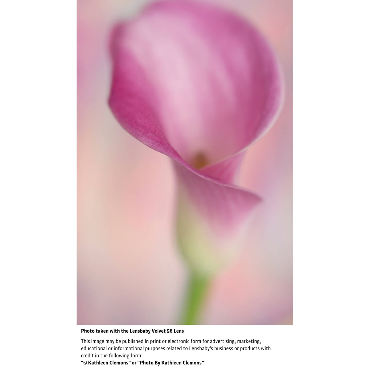 Lente Lensbaby Velvet 56mm f/1.6 SE (Limited Edition, Nikon F, Plateado) - contenido de la caja
