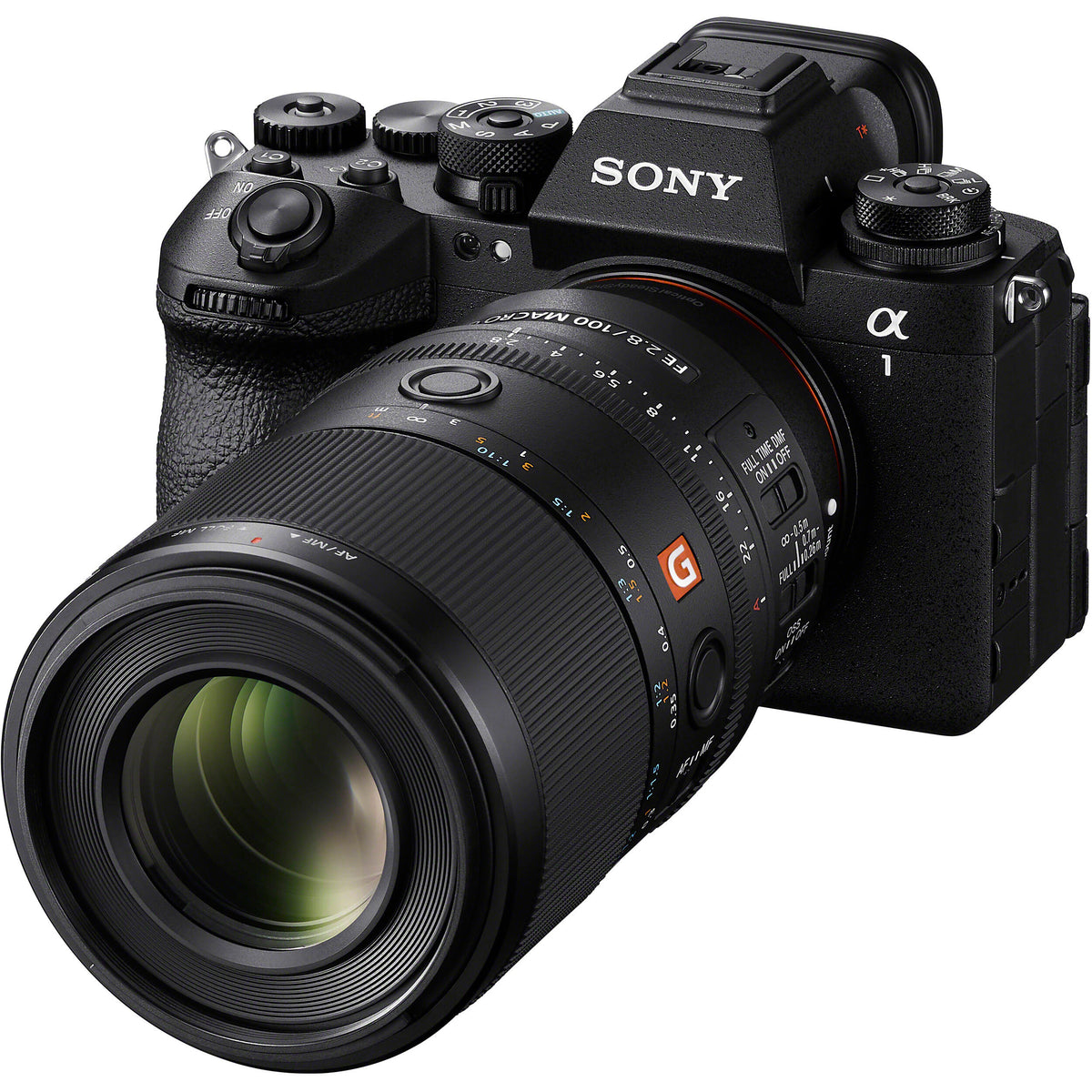 Lente Sony FE 100mm f/2.8 Macro GM - en uso