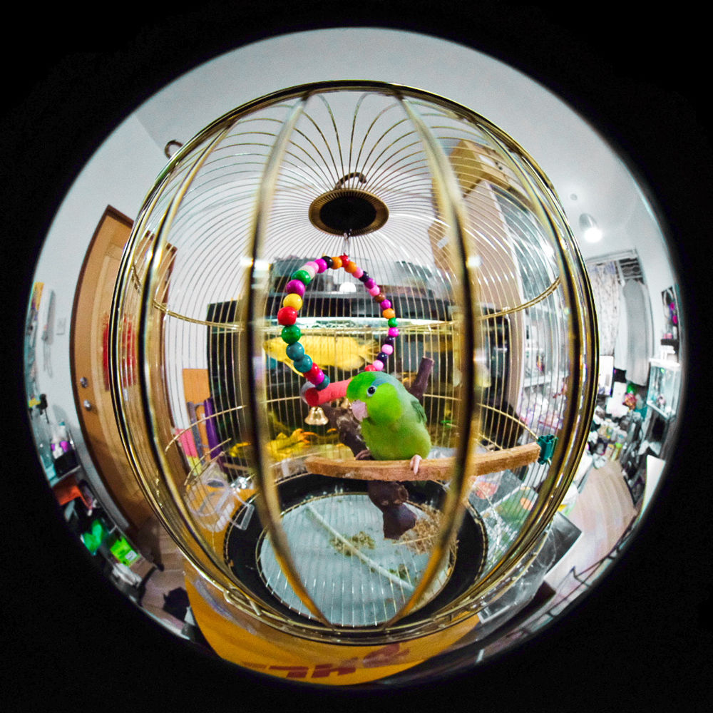 Lente Venus Optics Laowa 4mm f/2.8 Fisheye - contenido de la caja