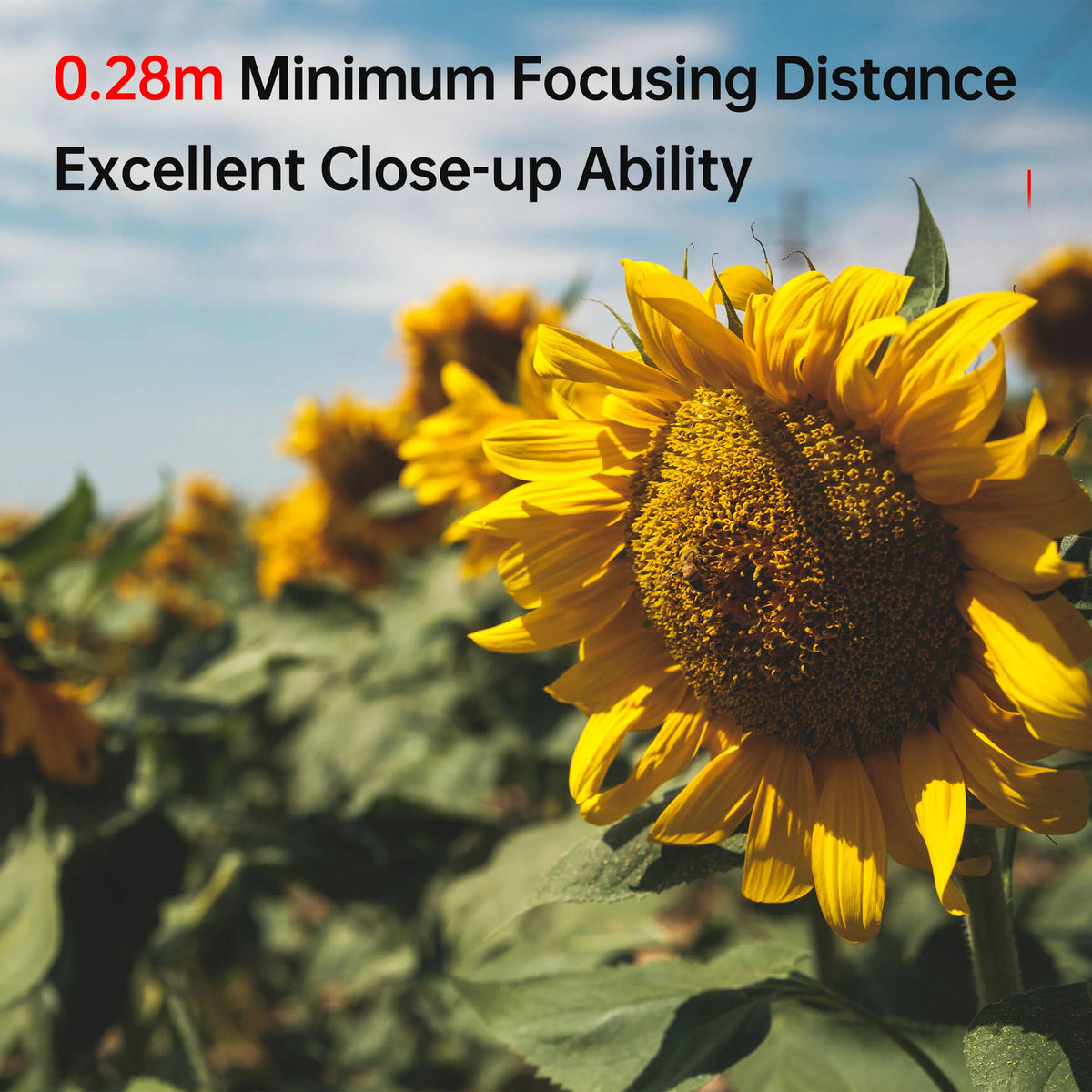 Lente Viltrox 27mm f/1.2 - contenido de la caja