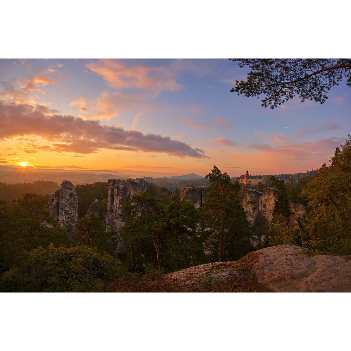 Lente Voigtlander Super Wide-Heliar 15mm f/4.5 Aspherical III - contenido de la caja