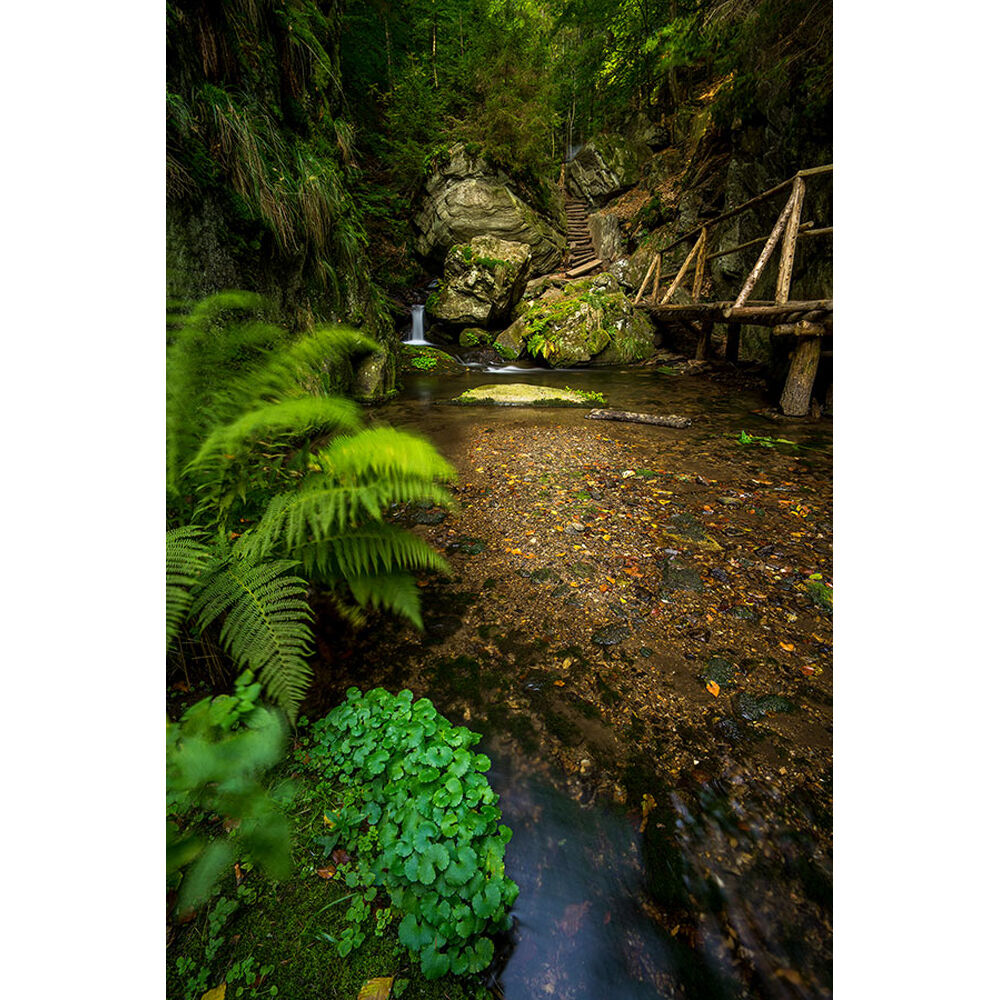 Lente Voigtlander Super Wide-Heliar 15mm f/4.5 Aspherical III - en uso