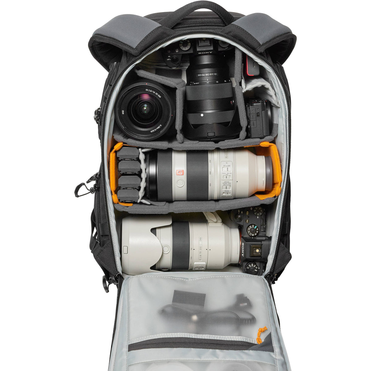Mochila Lowepro ProTactic BP 350 AW III (Negro, 17L) - contenido de la caja