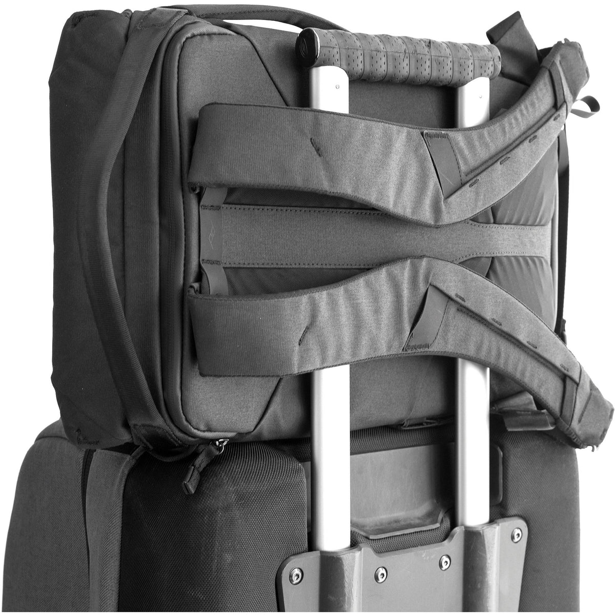 Mochila Peak Design Everyday (Charcoal, 20L) - en uso