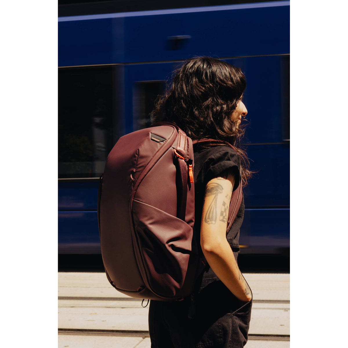 Mochila Peak Design Everyday Zip (Eclipse Purple, 20L) - contenido de la caja