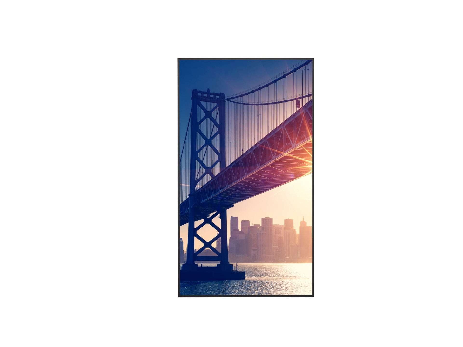 Pantalla Comercial Sharp NEC Sharp 43" Ultra High Definition Commercial Display 42.5" 4K - vista 1