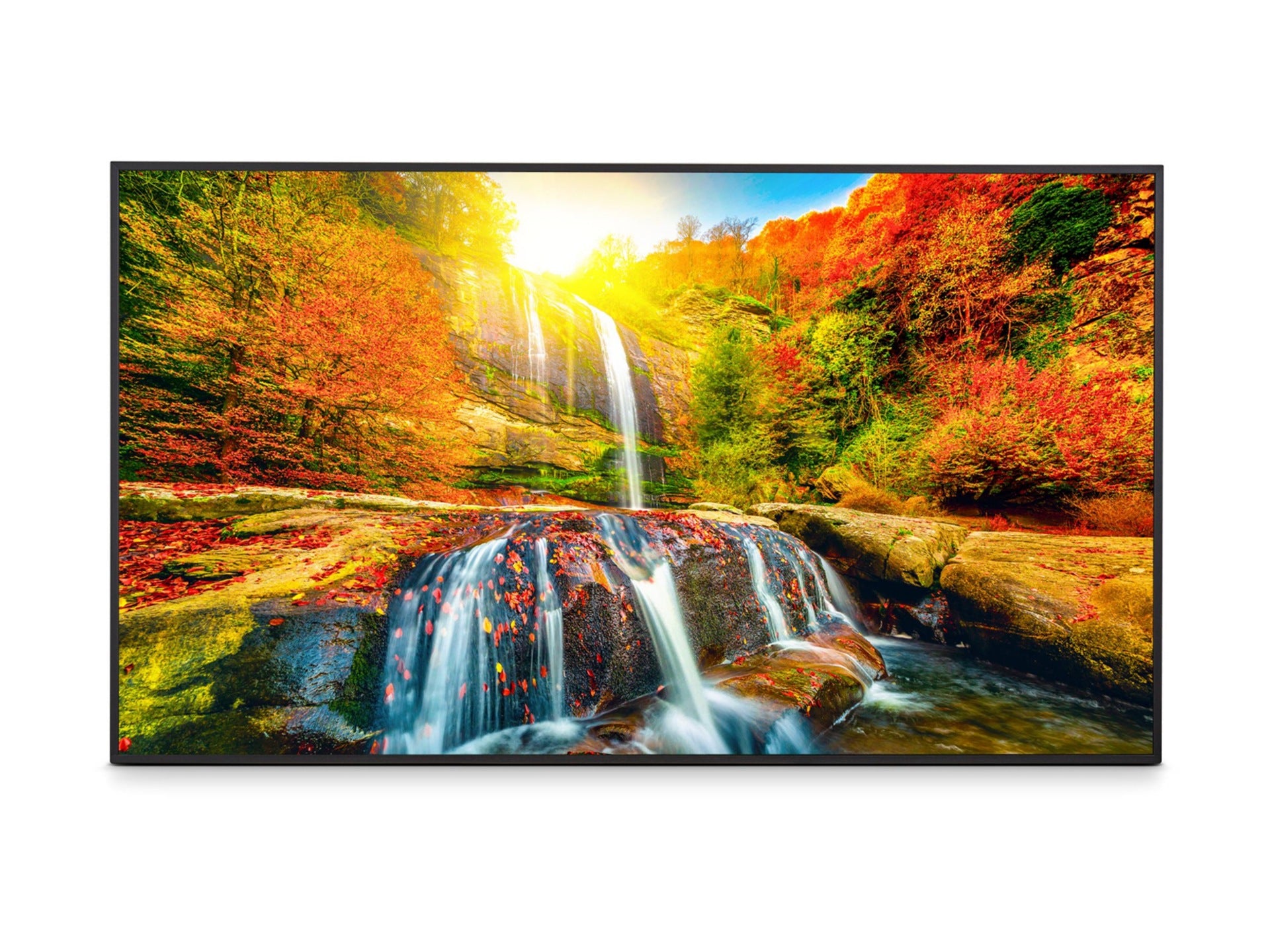 Pantalla Comercial Sharp NEC Sharp 43" Ultra High Definition Commercial Display 42.5" 4K - vista 2