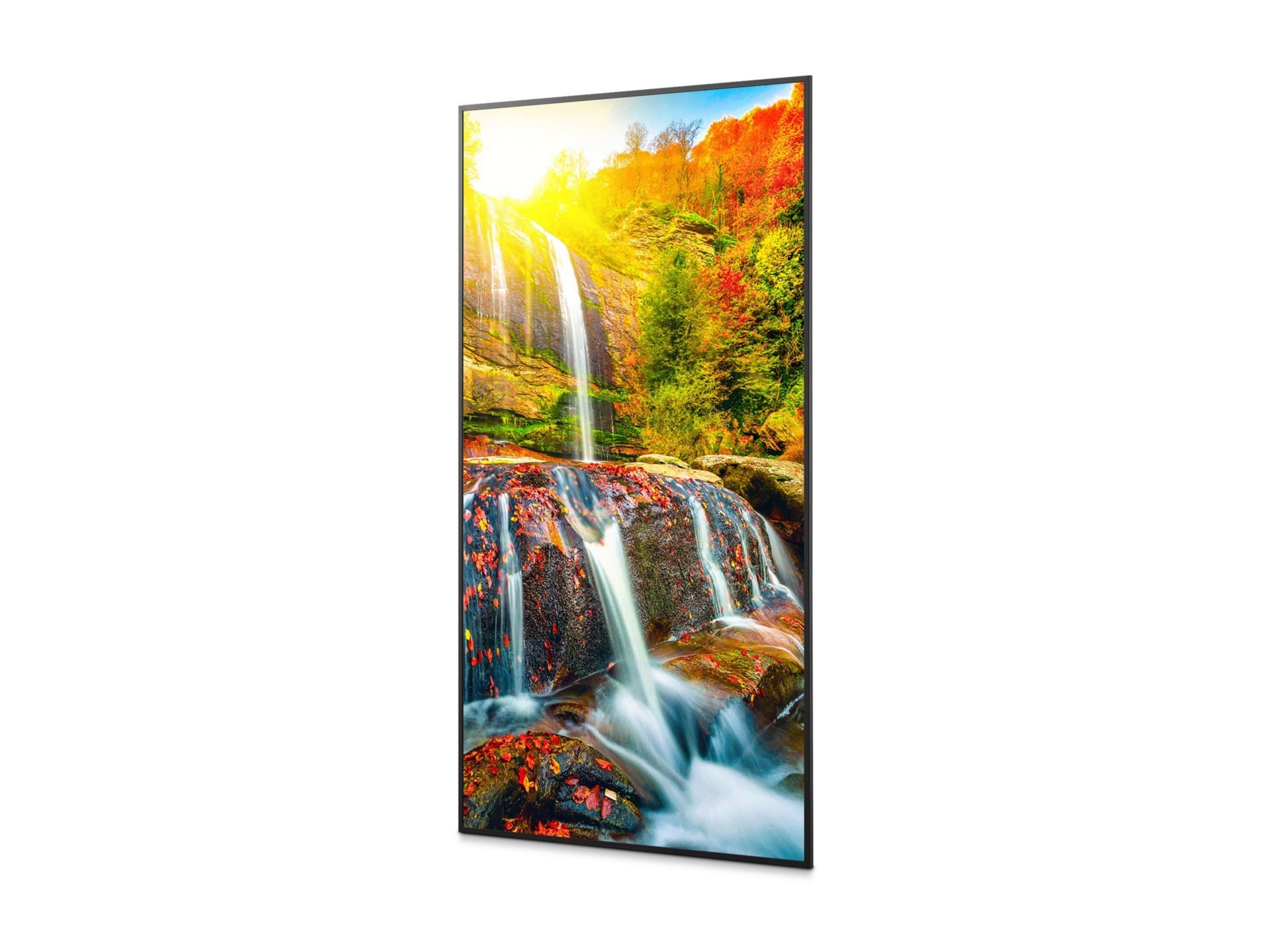 Pantalla Comercial Sharp NEC Sharp 43" Ultra High Definition Commercial Display 42.5" 4K - vista 3