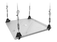 Proyector Chief 2'x2' Suspended Ceiling Tile Replacement Kit - vista 1