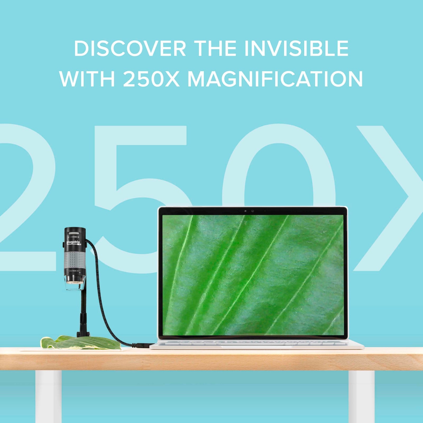 Proyector Plugable USB 2.0 Digital Microscope w/ Flexible Arm Observation Stand- - vista 2
