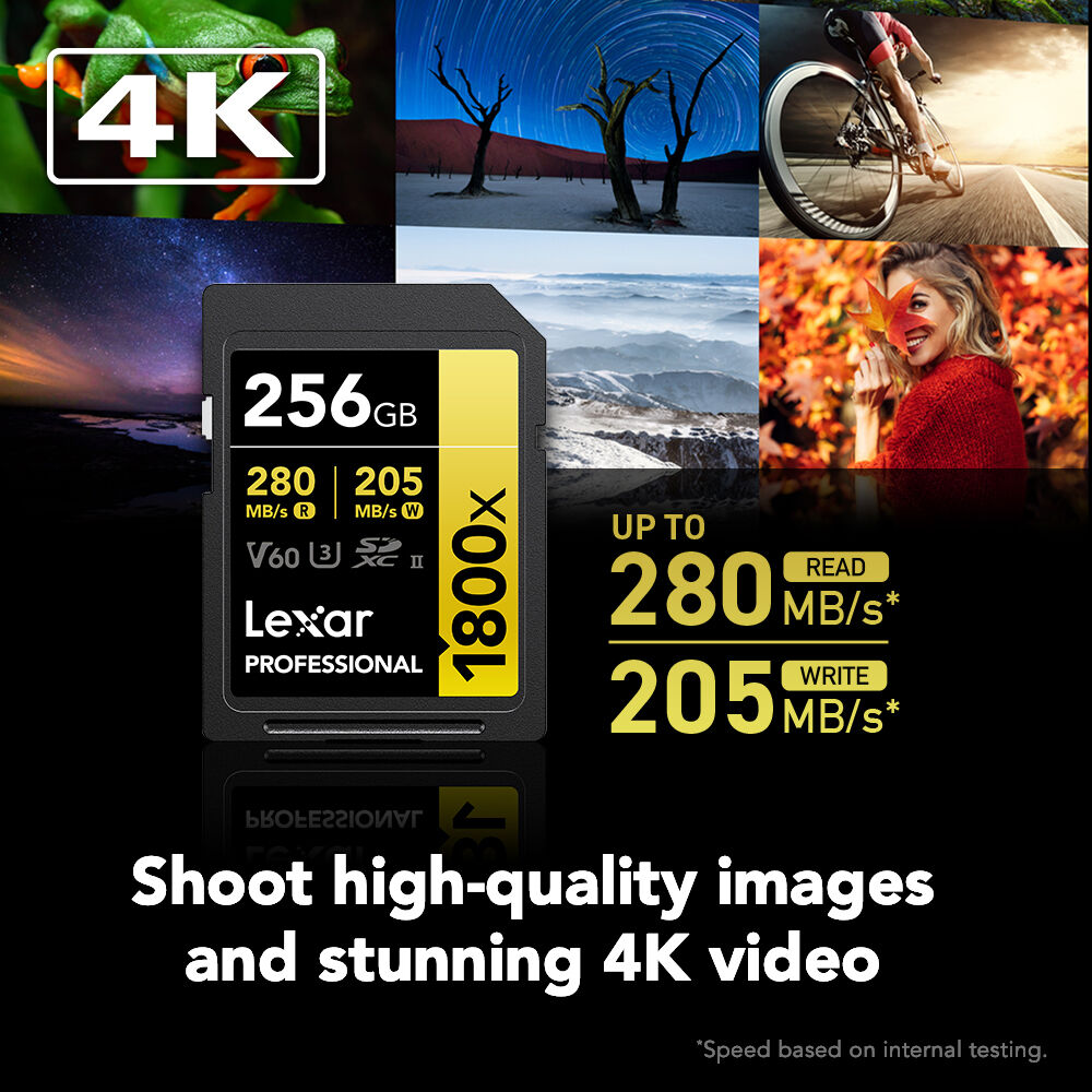Tarjeta Lexar 256GB Professional 1800x UHS-II SDXC (GOLD Serie, 2-Pack) - vista trasera